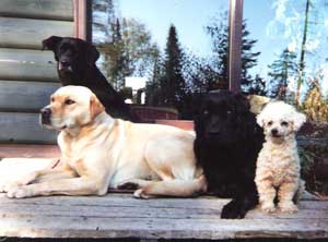 Our pals have passed on