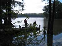 Fishing off the dock